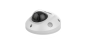 49558