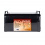 lifepo4-12v-100ahpl